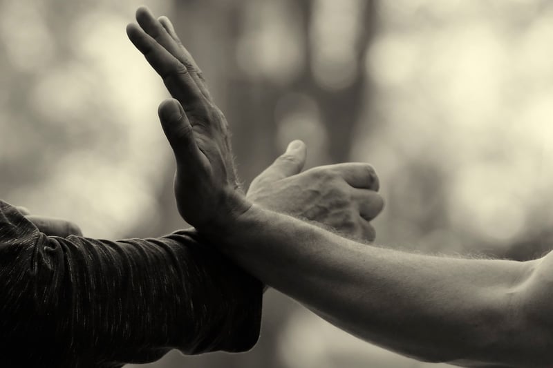 Tai Chi Harmony